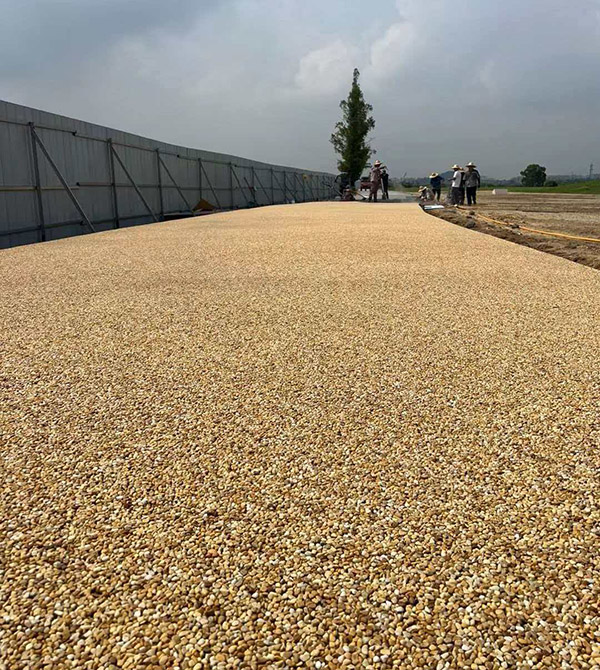 良渚遺址公園天然露骨料工程